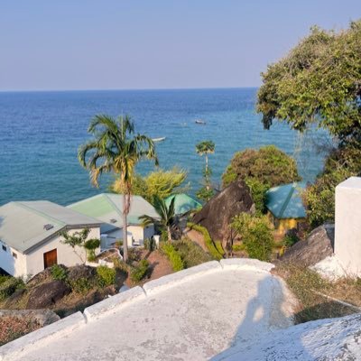 thengoniprince's profile picture. BALD-|- Dog dad 🇰🇪🇲🇼