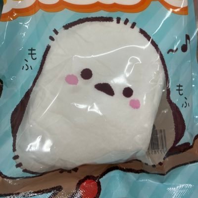 nekomimirorinya's profile picture. みーにゃんにゃ！小学四年生(js)の女の子にゃ！恥ずかしいから耳としっぽは見ないで欲しいにゃ…// おなにぃ？気持ちいいにゃ…//