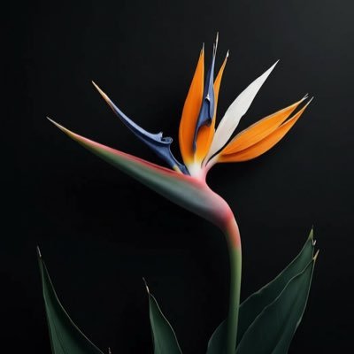 petitcadeau4's profile picture. 神社仏閣や日常にひそむ神秘と癒しを、AIアートと共に綴ります。基本は月火曜の午前中に配信。仏文科卒・ロスジェネ世代・出版社営業職・乳がんサバイバー。2025年FLOWER展入選。