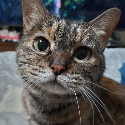 BeYsgJ23yo30401's profile picture. 