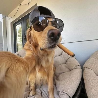 still_accurance's profile picture. there's nothing new under the sun