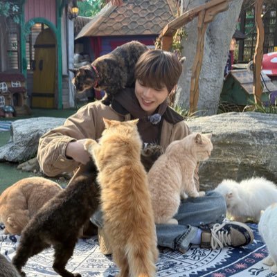 Kobbutsayarat's profile picture. มะมี้ม๋าเด็ก🐶 #FLOWD OSW x KDN #ongniel #องนีเอล ✨🍑💕#KKDNGiveaway