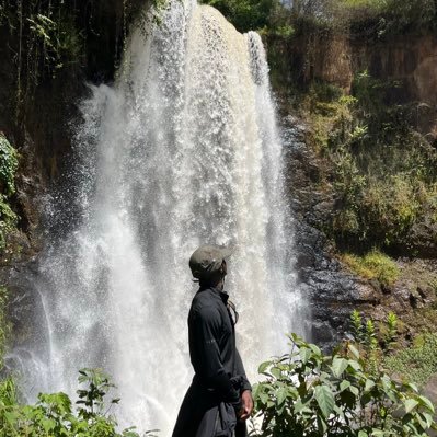 OsedoTimmon's profile picture. 