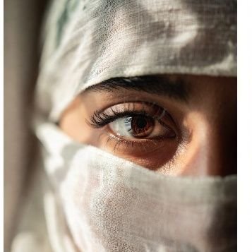 BrothersMi28425's profile picture. 