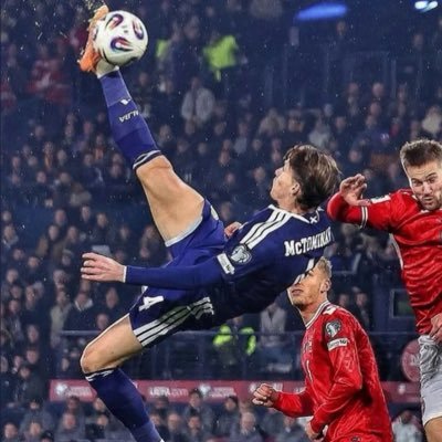 mtmutd's profile picture. 