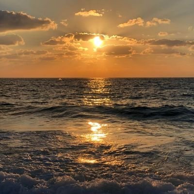 meermgi's profile picture. 