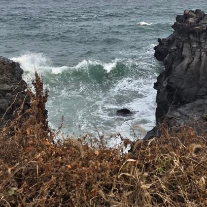 Layrical's profile picture. 