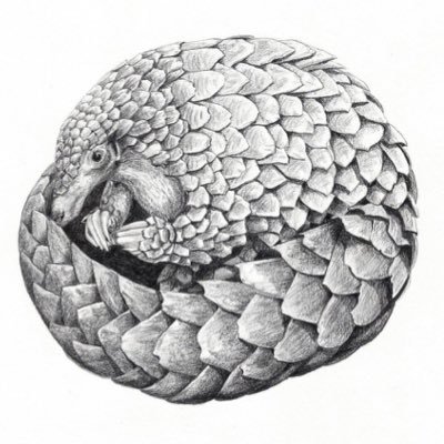 RoiXBT's profile picture. $btc