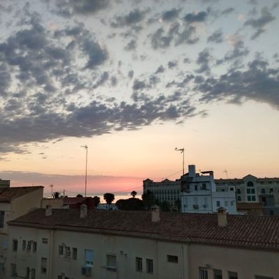 teleca66's profile picture. 