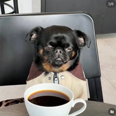 hah_masasih's profile picture. sometimes I draw, sometimes I read natal chart, sometimes I play music— I could be a piece you seek to complete your puzzle 🧩—🍉🫒— pfp is charlie the griffon