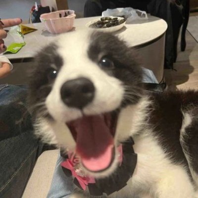 HUSEN_NADAF's profile picture. 