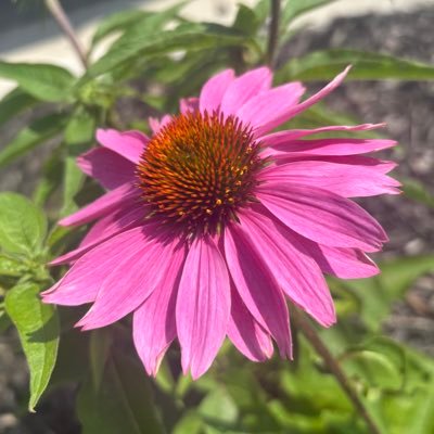 Gio_Leo_'s profile picture. I’m tired. here are my ramblings. 24.