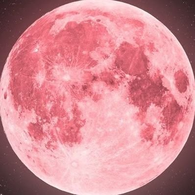 grat69811's profile picture. 