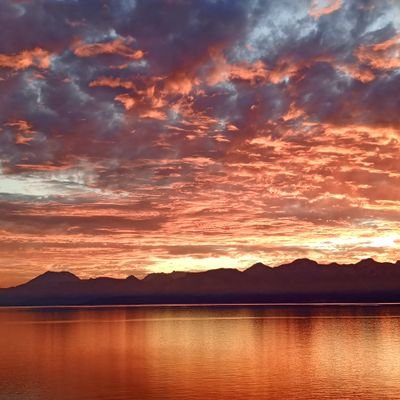 ZaferArsla27898's profile picture. 