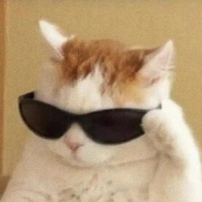 BBp_Wang's profile picture. ✧ Come and get it GOT7 ✧ @GOT7 @Bambam1a 🐍୧ʕ•̀ᴥ•́ʔ୨ @harit_keng 🦆@nampingnapat 🐰 #บีบีพีรีวิว