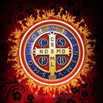 themarian_bro's profile picture. Catholic 🇻🇦 
America First 🇺🇸 
I will hold the Christ-Light for you .. ✝️ 🕯 .. !!