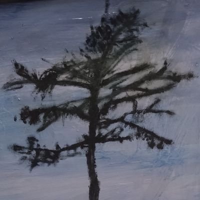 Canegon330's profile picture. 油絵が好きな高校生です　たまにアクリル画も描きます