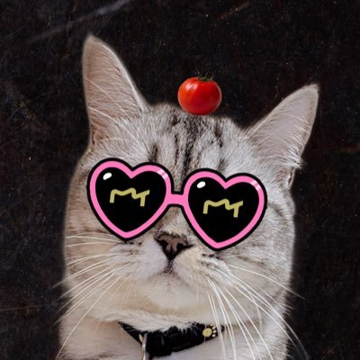 yyntc_0925's profile picture. 