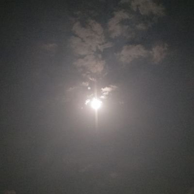 Noha993551's profile picture. 