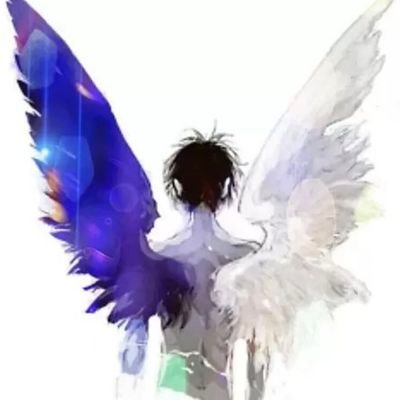 SHIGECHANDA's profile picture. 