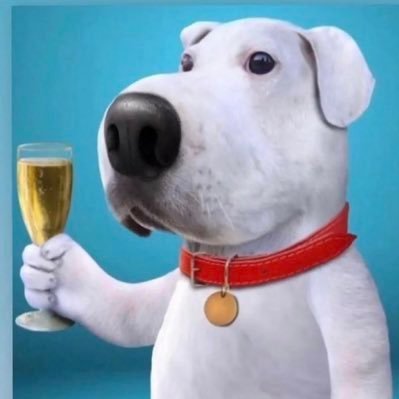 lateregistrate's profile picture. 556 champion