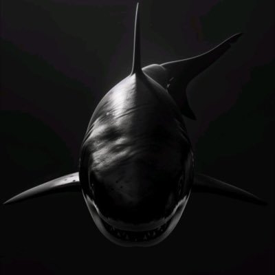 orcakng's profile picture. 🐐