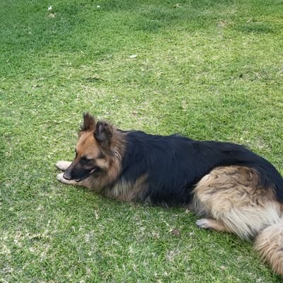 _tpyd's profile picture. Not my tweets, here on twitter ndinoita zvekuti nguva ifambe

GGMU
#ZIMBABWEANLIVESMATTER