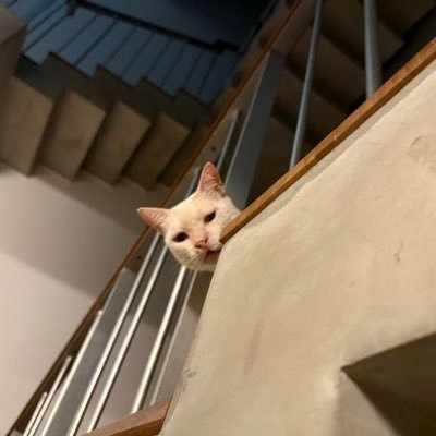 Gupta_suk's profile picture. Bharat 🇮🇳 Wing, RT Endorsement unless clarified,Likes not always! मोदी परिवार की सदस्या।overdose of sarcasm toxic! चैन से सोना है तो जाग जाओ