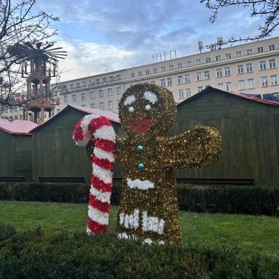 NoIdea2219's profile picture. 