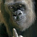 Darryl Otto - @DarrylOtto - Twitter