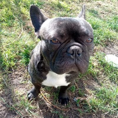 KarlMarx4R's profile picture. No al wokismo y a las izquierdas indefinidas! De las derechas, ni hablar!