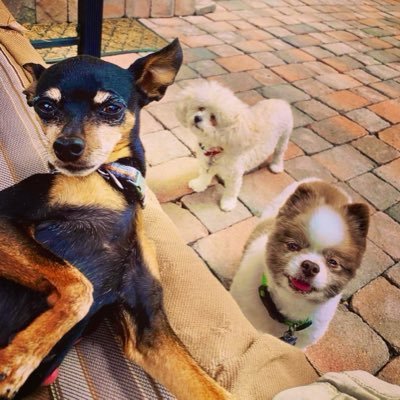 DaJooosh's profile picture. All of my photos are scratch and sniff