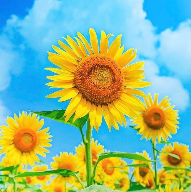 MasakazuTa29xc's profile picture. 