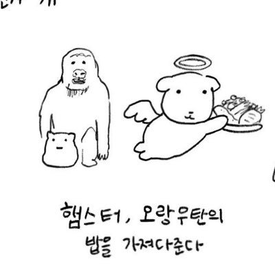 H0xy16's profile picture. 호기심의 악마