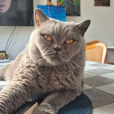 HalinaStankiew8's profile picture. Nie mam nic do powiedzenia światu.