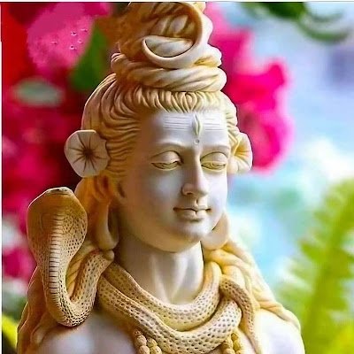 ShanttanuDive's profile picture. 