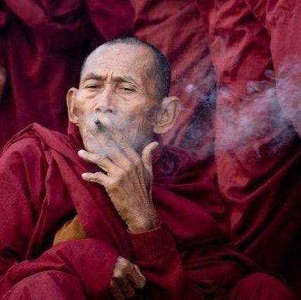 Brooklynbabyfr's profile picture. just a shipper #Williamest 
#Ohmpoon #savefranc #offgun
#dewtee #joongdunk