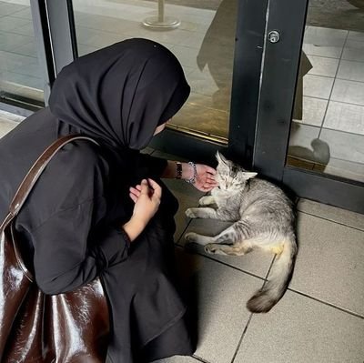 vousyavoyez's profile picture. Cybuss purposes.