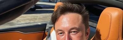 Privatecha65889's profile picture. Private chat with Elon musk