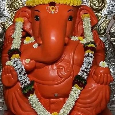 alla_rames20391's profile picture. 