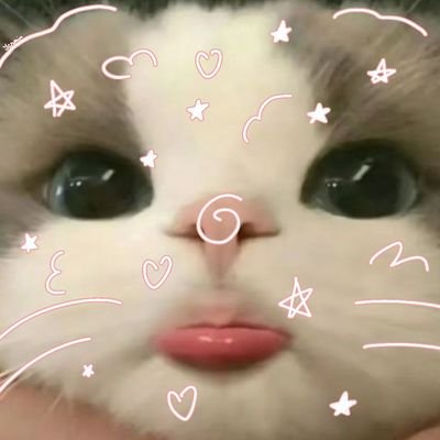 mystihbt's profile picture. eu enxergo beleza em tudo 🌸