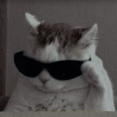 Anjali_mini609's profile picture. Computer Science • Web & algorithms • Open-source exploring