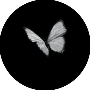 OyarzoBrenda's profile picture. 不是漂亮女人會騙人 是醜的騙你不相信