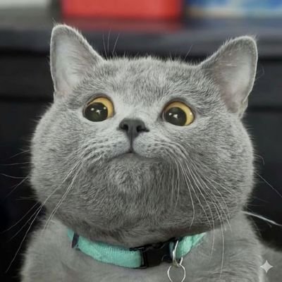 UniverseIce's profile picture. Leak, analysis, insight