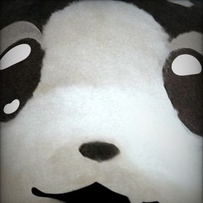 Vingshu0413's profile picture. 비아슈 부계예요 / 개소리만 짖습니다