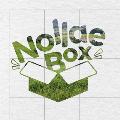 nollaebox's profile picture. 