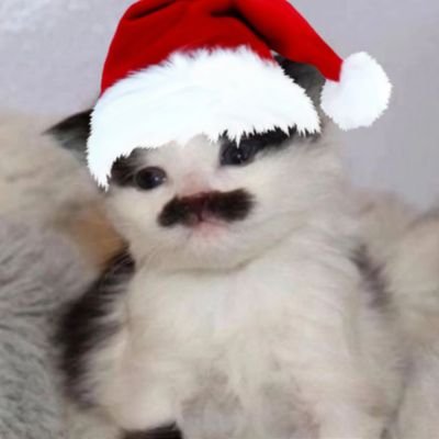 acabovicc's profile picture. Keyif odaklı yaşamlar
Düşün emekçisi
INFP
Ötenazi müjdesi bekliyor