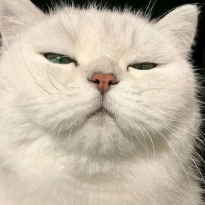 anneneyli's profile picture. Love only grows by sharing,you can only have more for yourself by giving it away to others-BTS💜