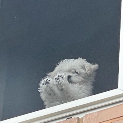 zhffprxm's profile picture. 투자 인사이트