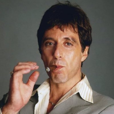 ToniMontana198A's profile picture. Patriot Iranian, fighting for regime change in Iran